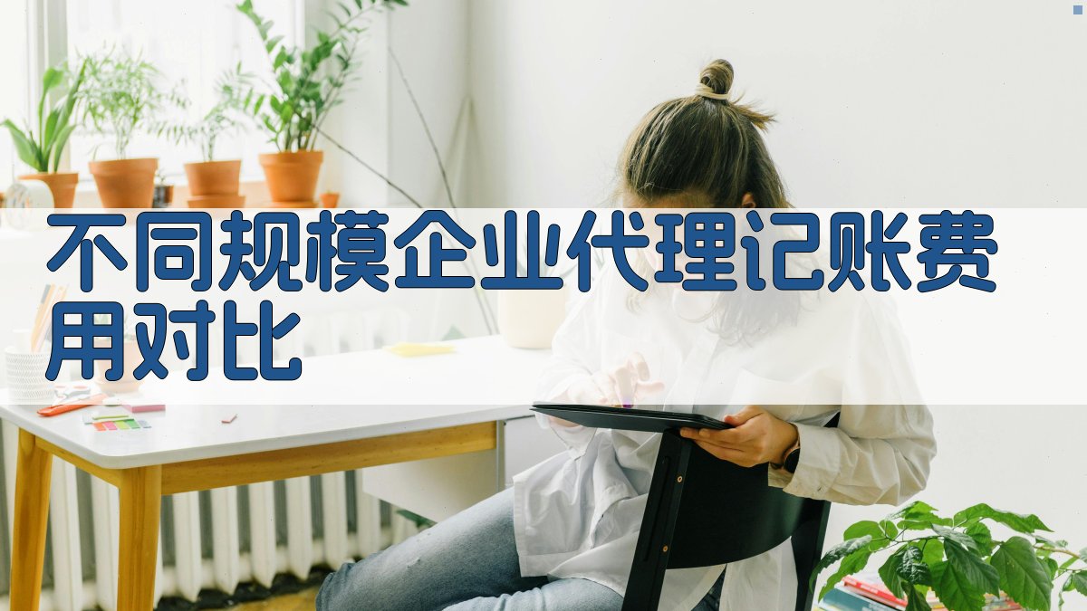 不同规模企业代理记账费用对比 图2