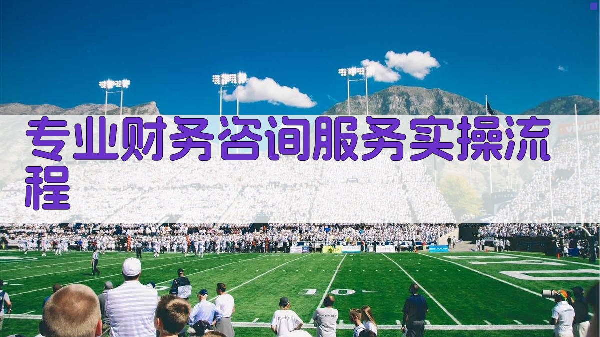专业财务咨询服务实操流程 图3