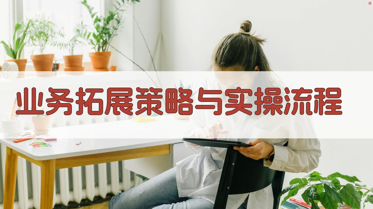 业务拓展策略与实操流程 图3