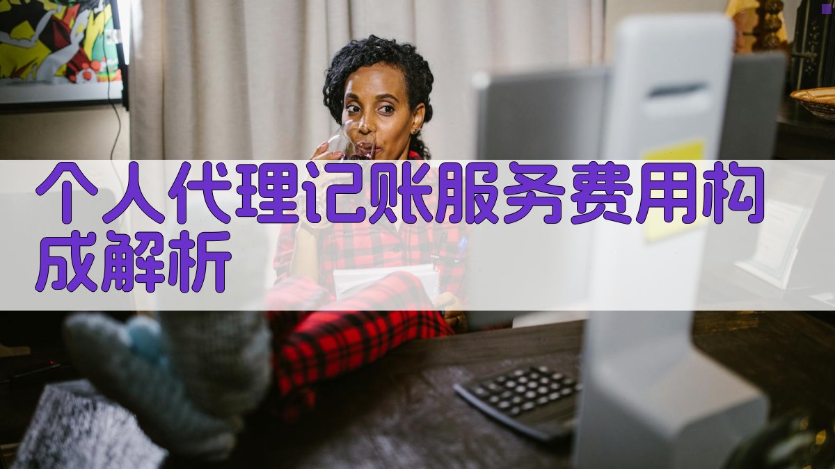 个人代理记账服务费用构成解析 图1