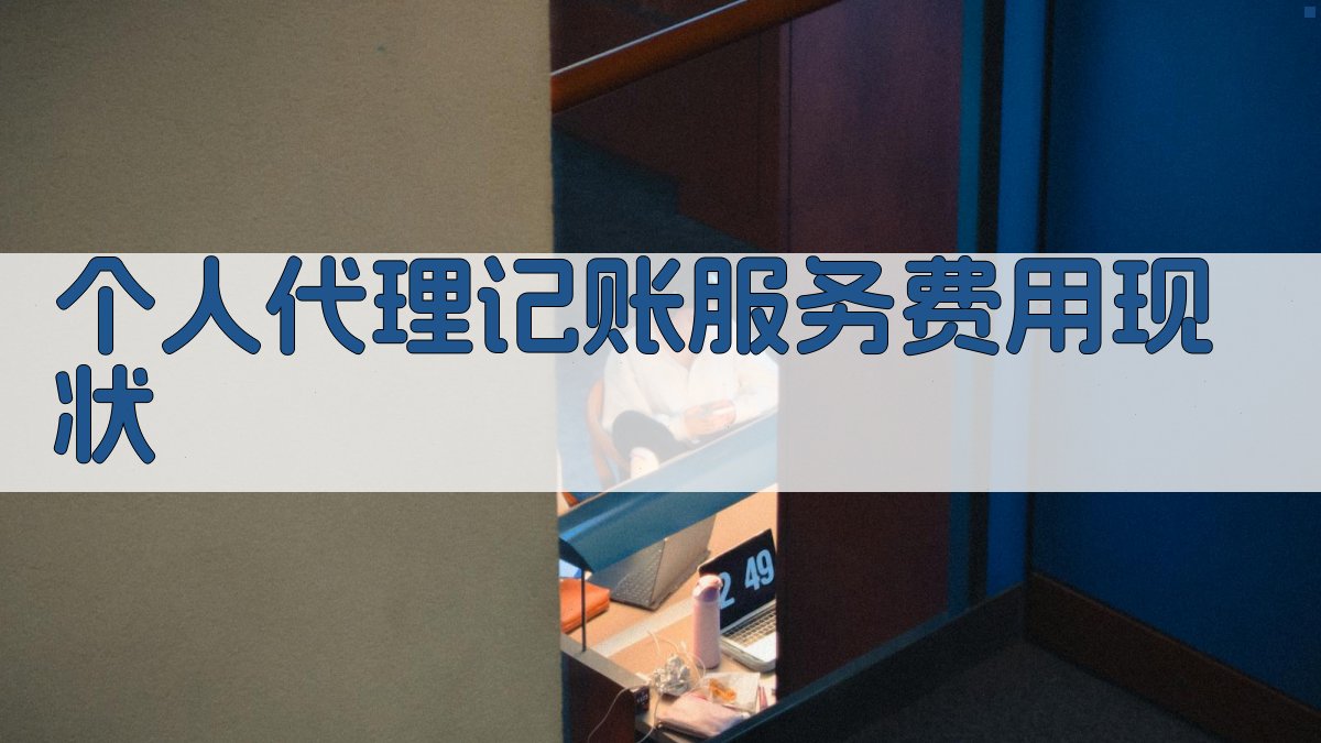 个人代理记账服务费用现状 图1