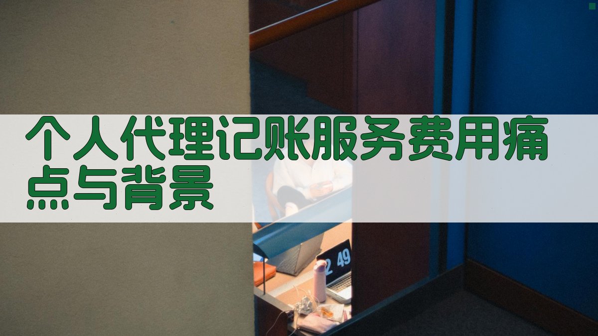个人代理记账服务费用痛点与背景 图1