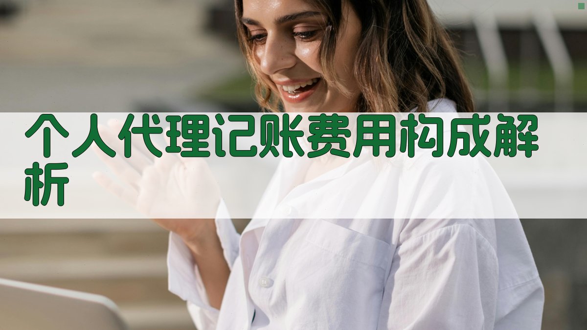 个人代理记账费用构成解析 图2