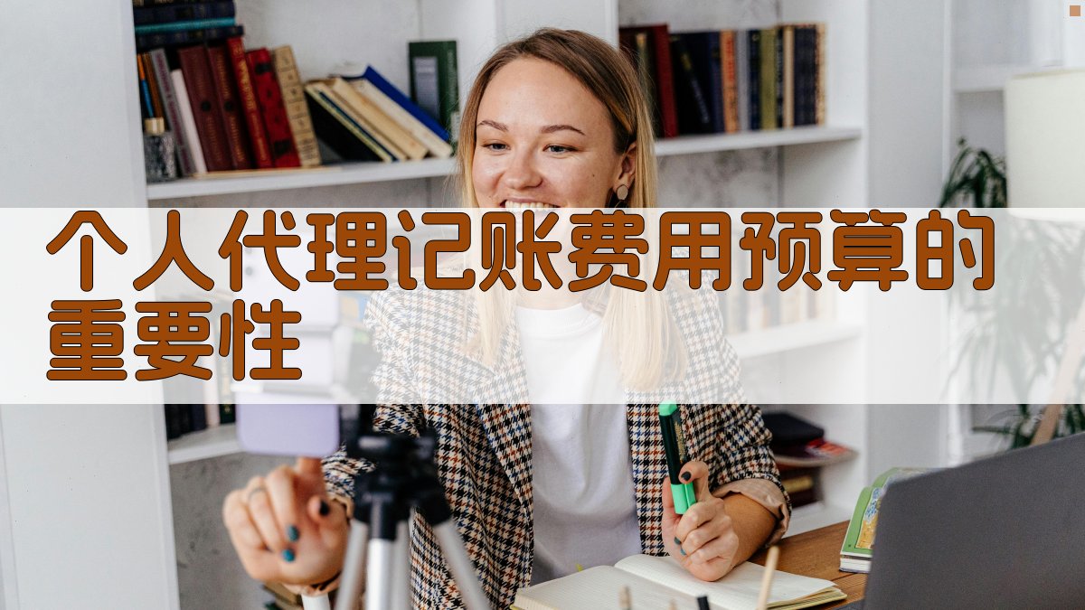 个人代理记账费用预算的重要性 图1