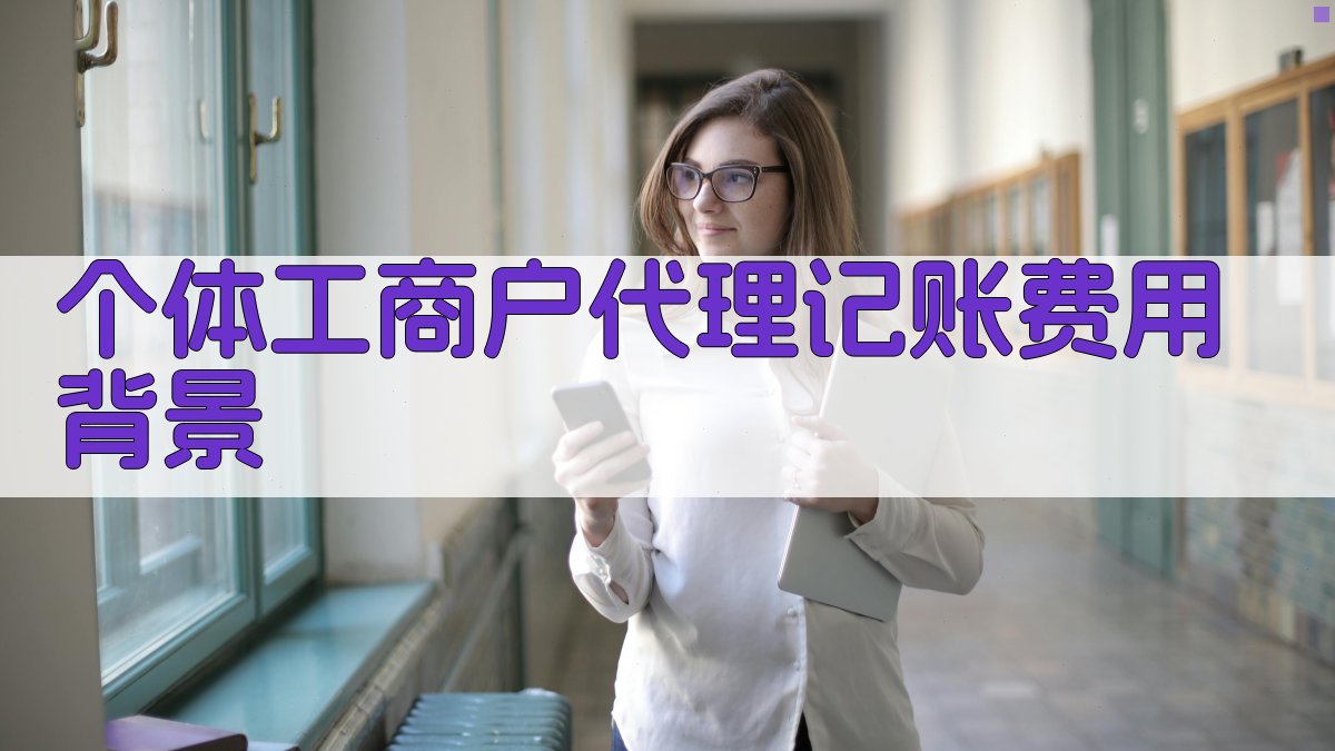 个体工商户代理记账费用背景 图1