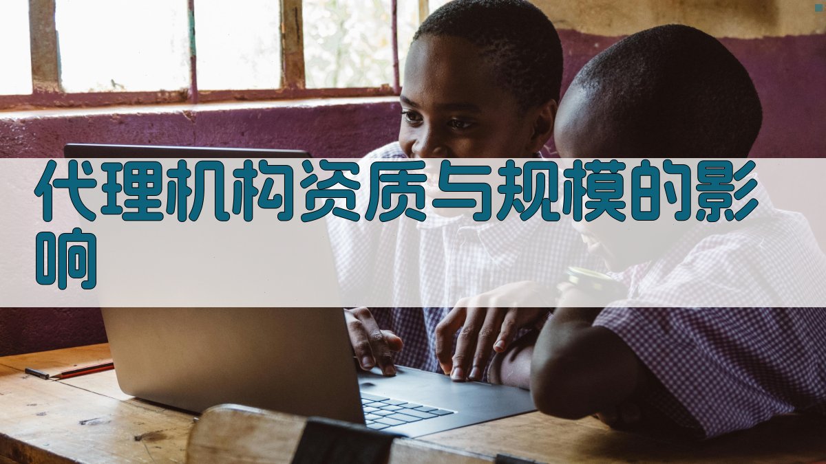 代理机构资质与规模的影响 图1