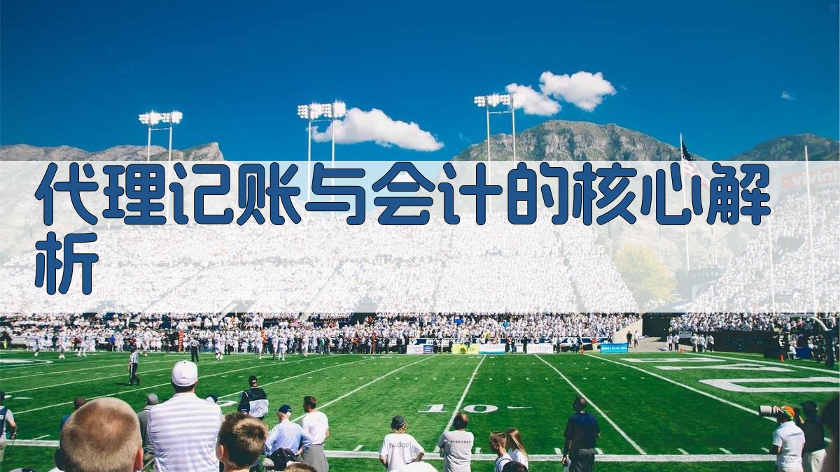 代理记账与会计的核心解析 图1