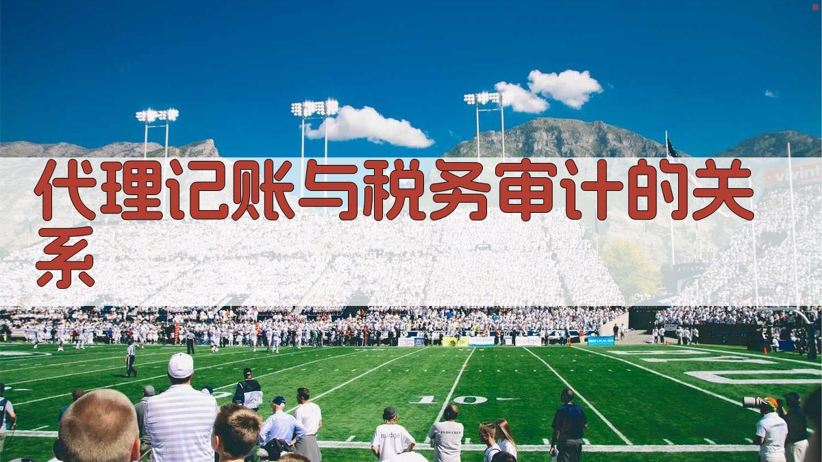 代理记账与税务审计的关系 图2