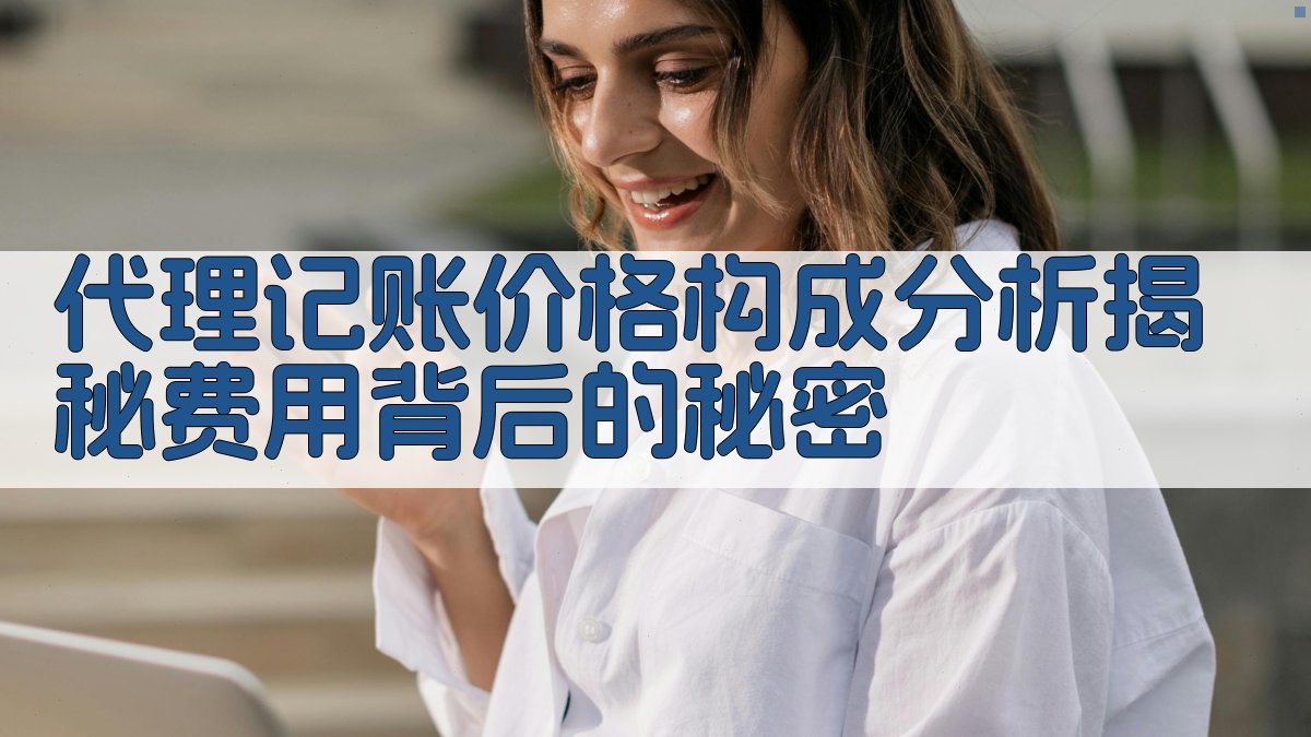 代理记账价格构成分析：揭秘费用背后的秘密 图1