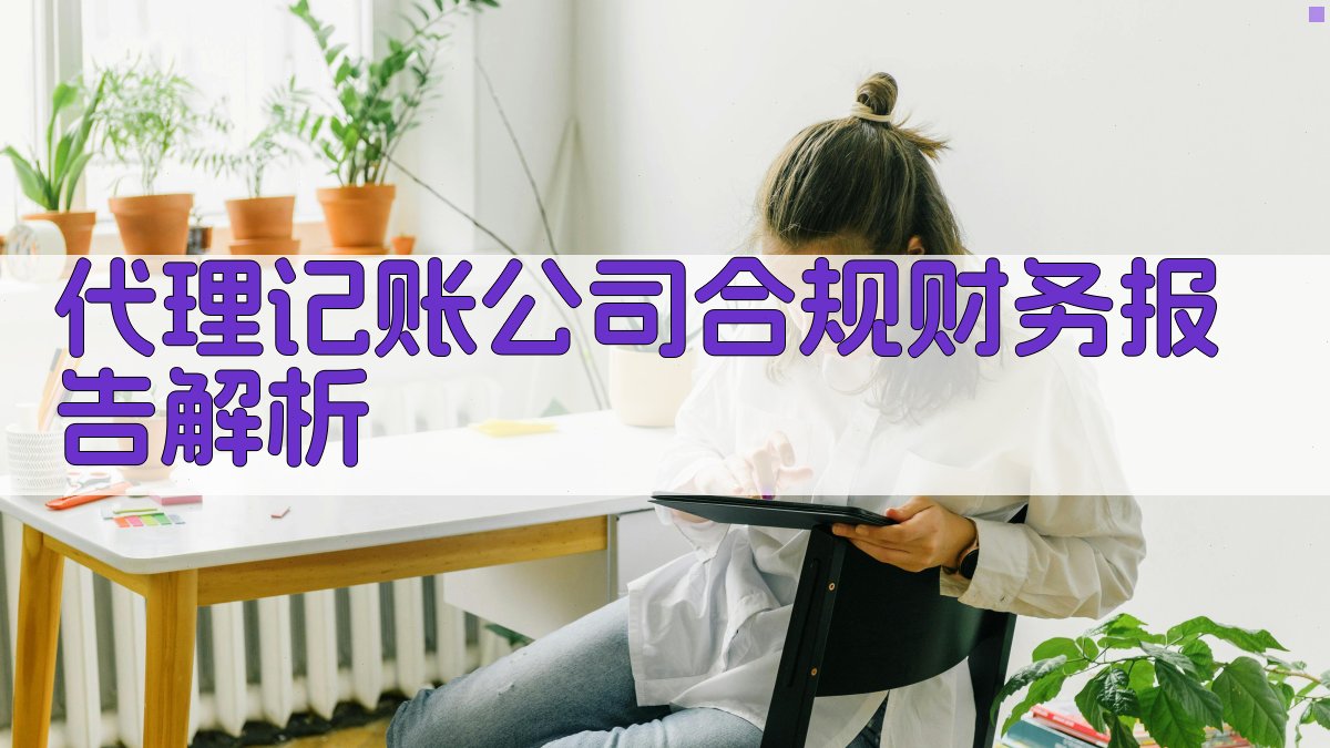 代理记账公司合规财务报告解析 图1