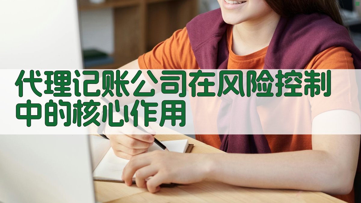 代理记账公司在风险控制中的核心作用 图2