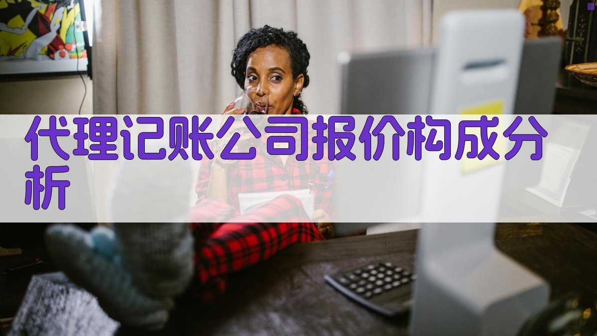 代理记账公司报价构成分析 图2