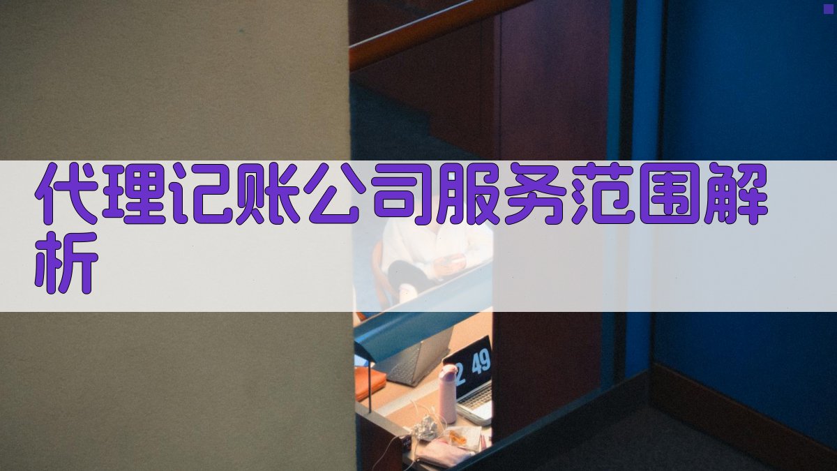代理记账公司服务范围解析 图2