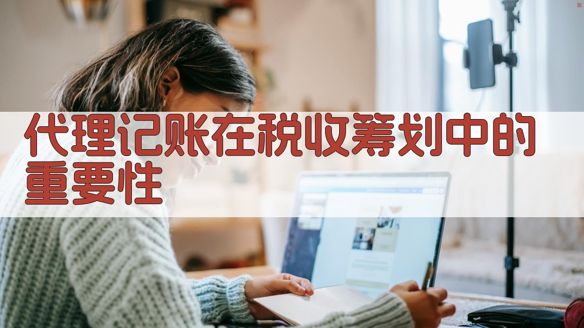 代理记账在税收筹划中的重要性 图1