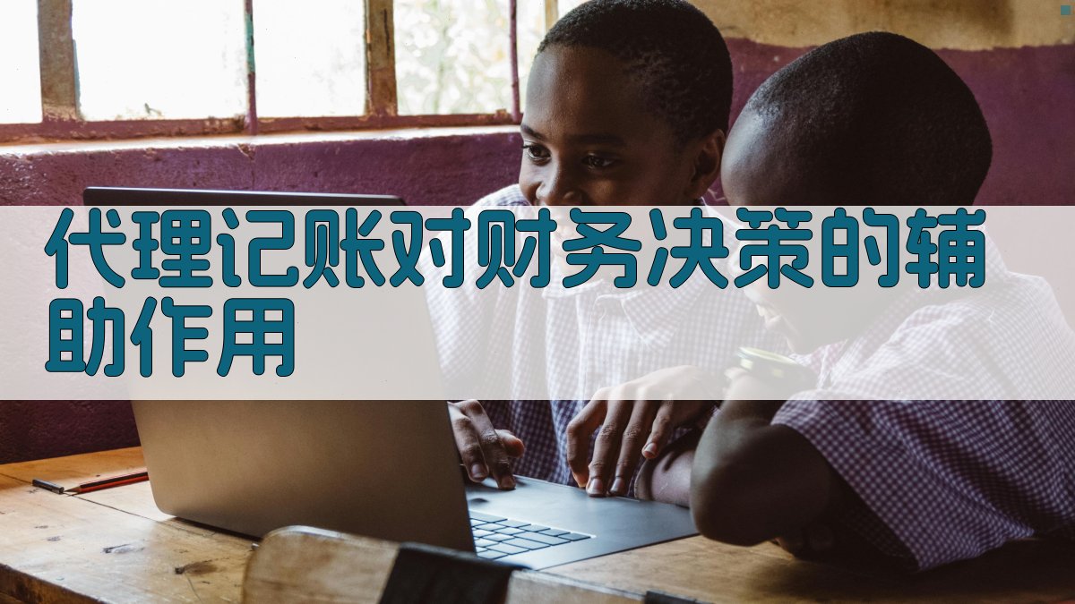 代理记账对财务决策的辅助作用 图1