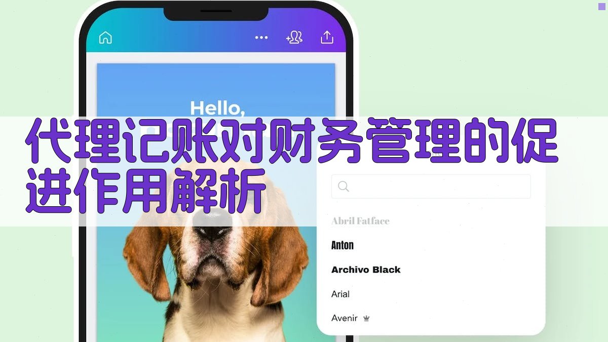 代理记账对财务管理的促进作用解析 图2