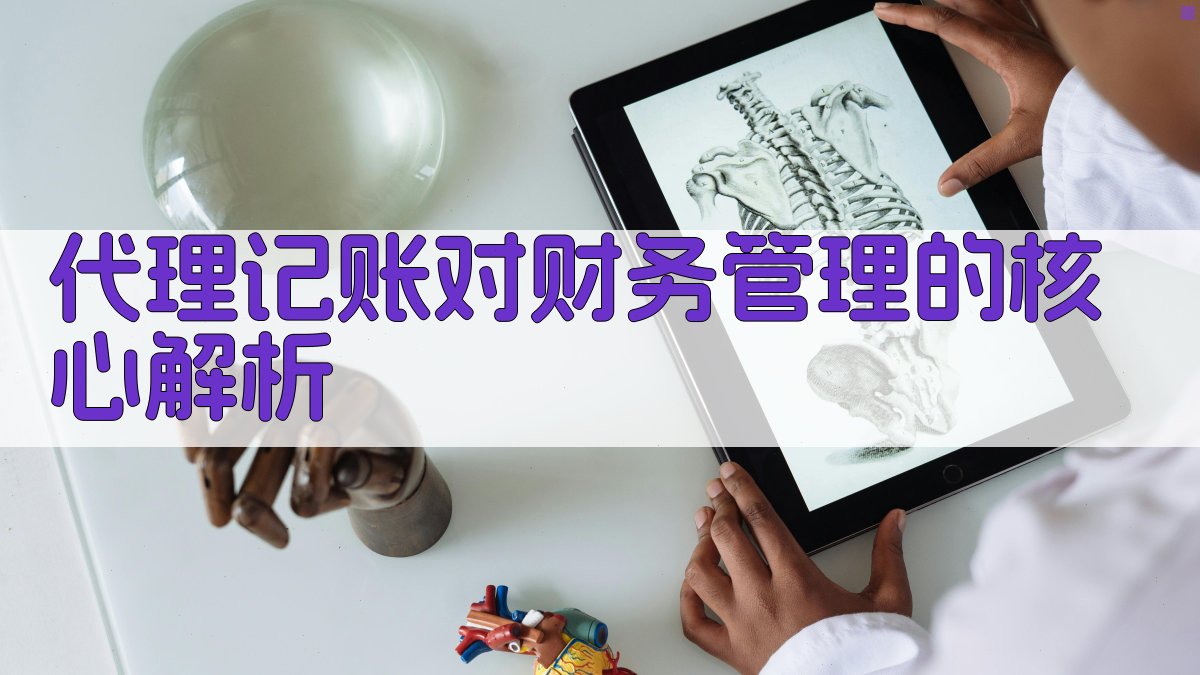 代理记账对财务管理的核心解析 图3