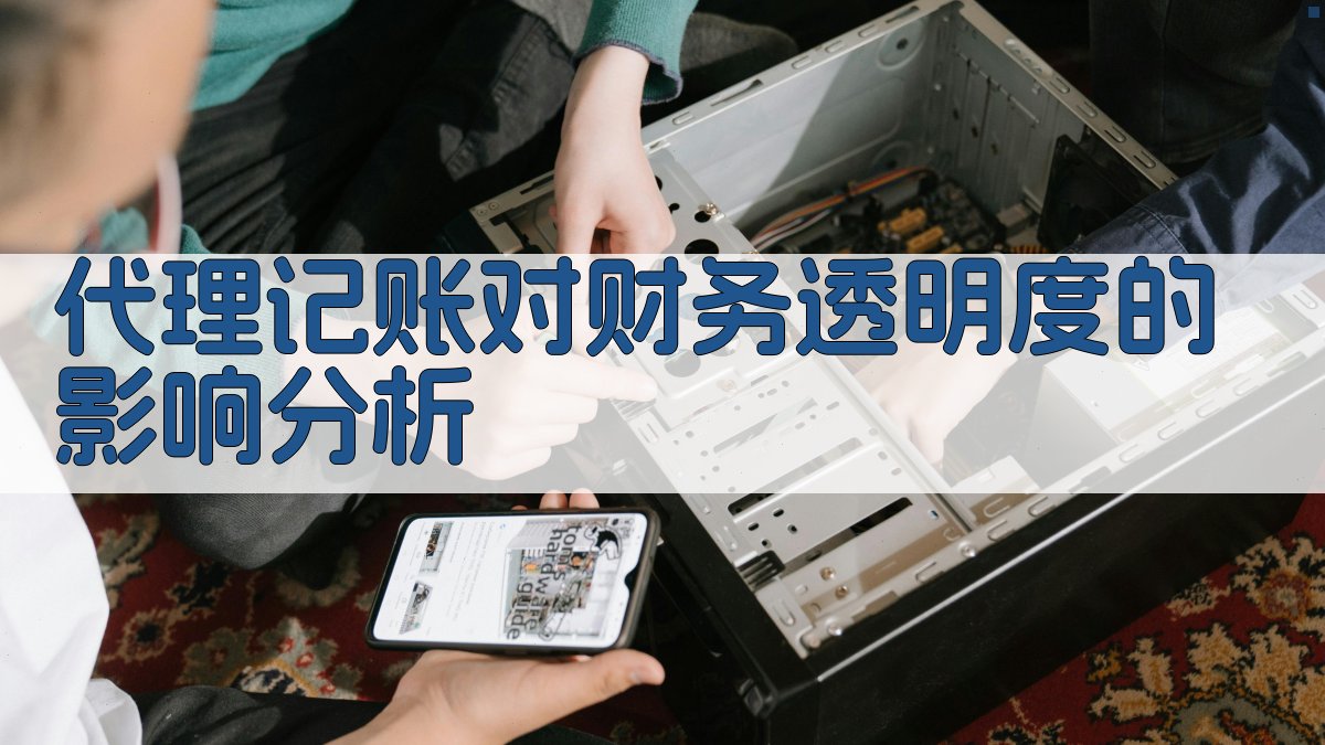 代理记账对财务透明度的影响分析 图2