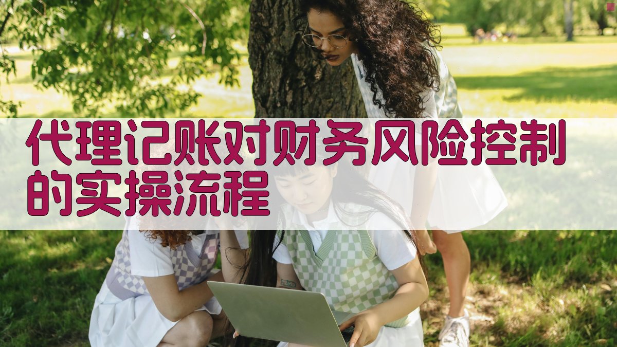 代理记账对财务风险控制的实操流程 图3