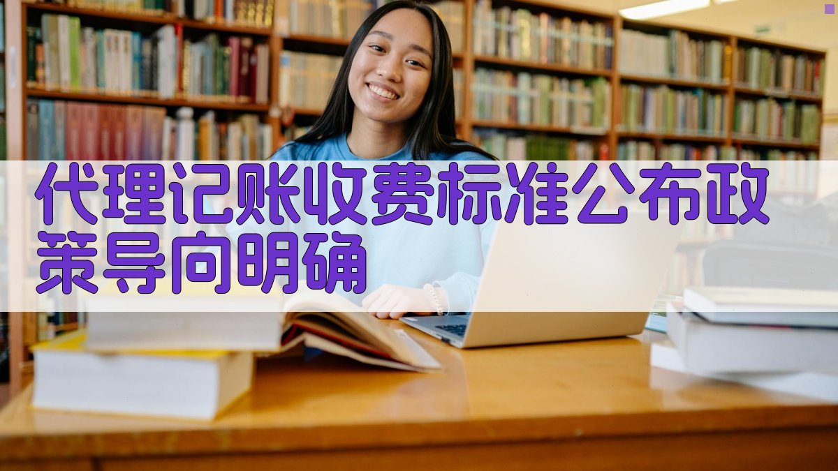 代理记账收费标准公布，政策导向明确 图2