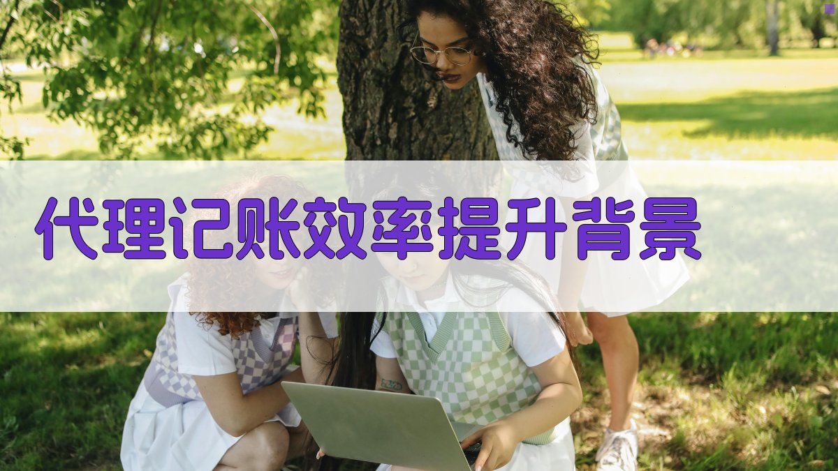 代理记账效率提升背景 图1