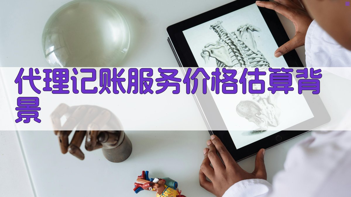 代理记账服务价格估算背景 图1