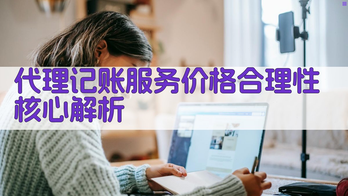 代理记账服务价格合理性核心解析 图2