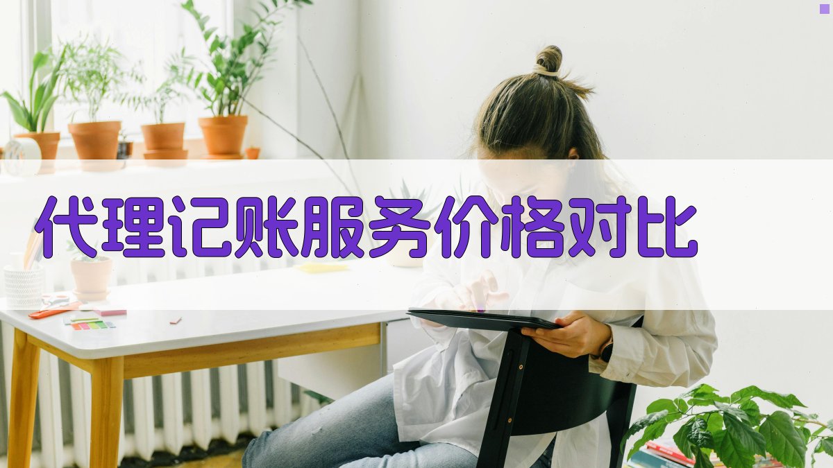 代理记账服务价格对比 图2