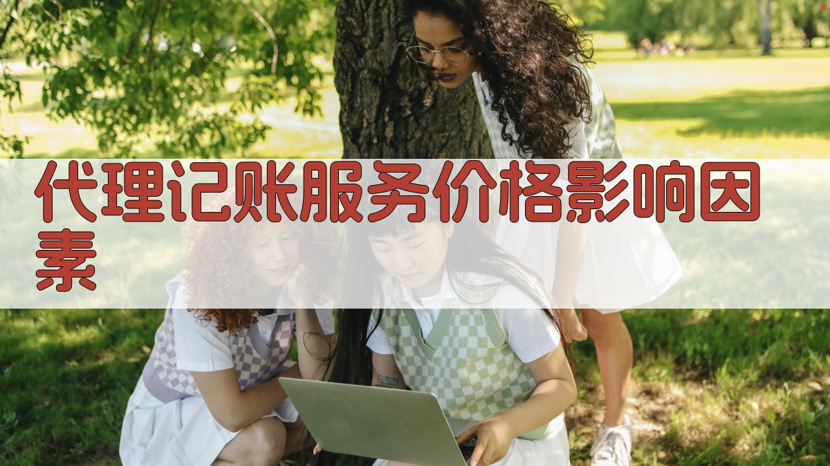 代理记账服务价格影响因素 图2