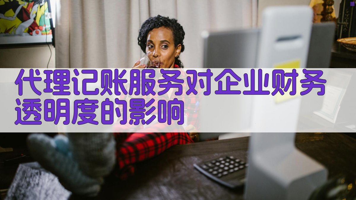代理记账服务对企业财务透明度的影响 图2