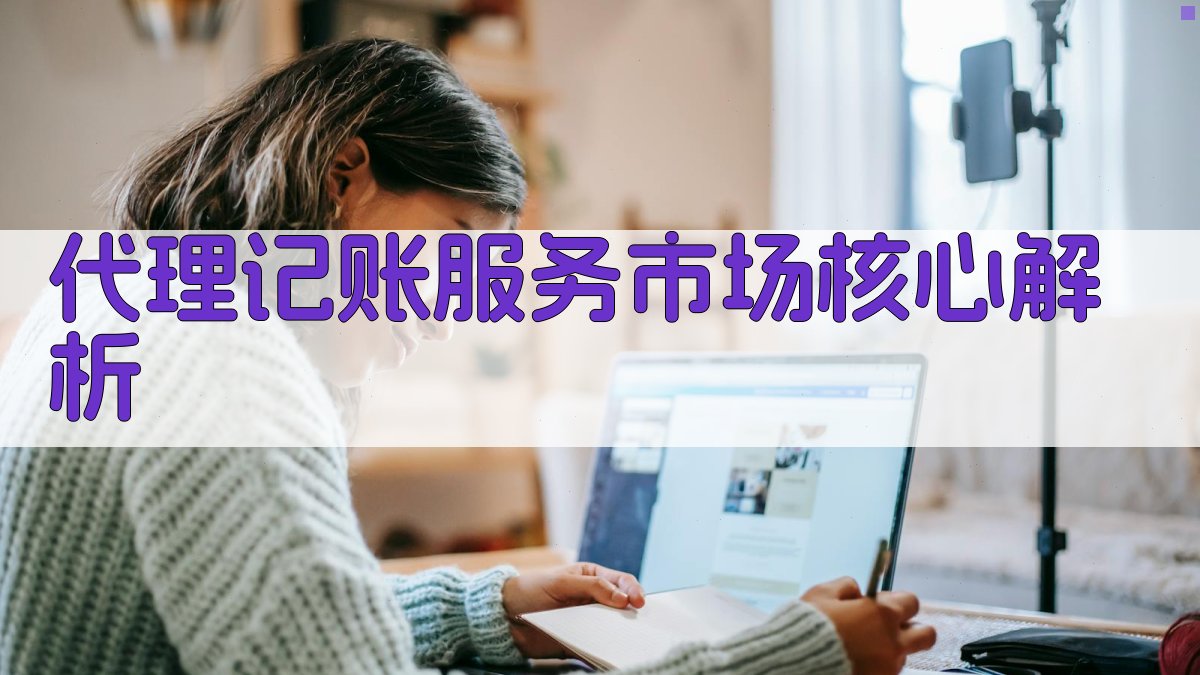 代理记账服务市场核心解析 图1
