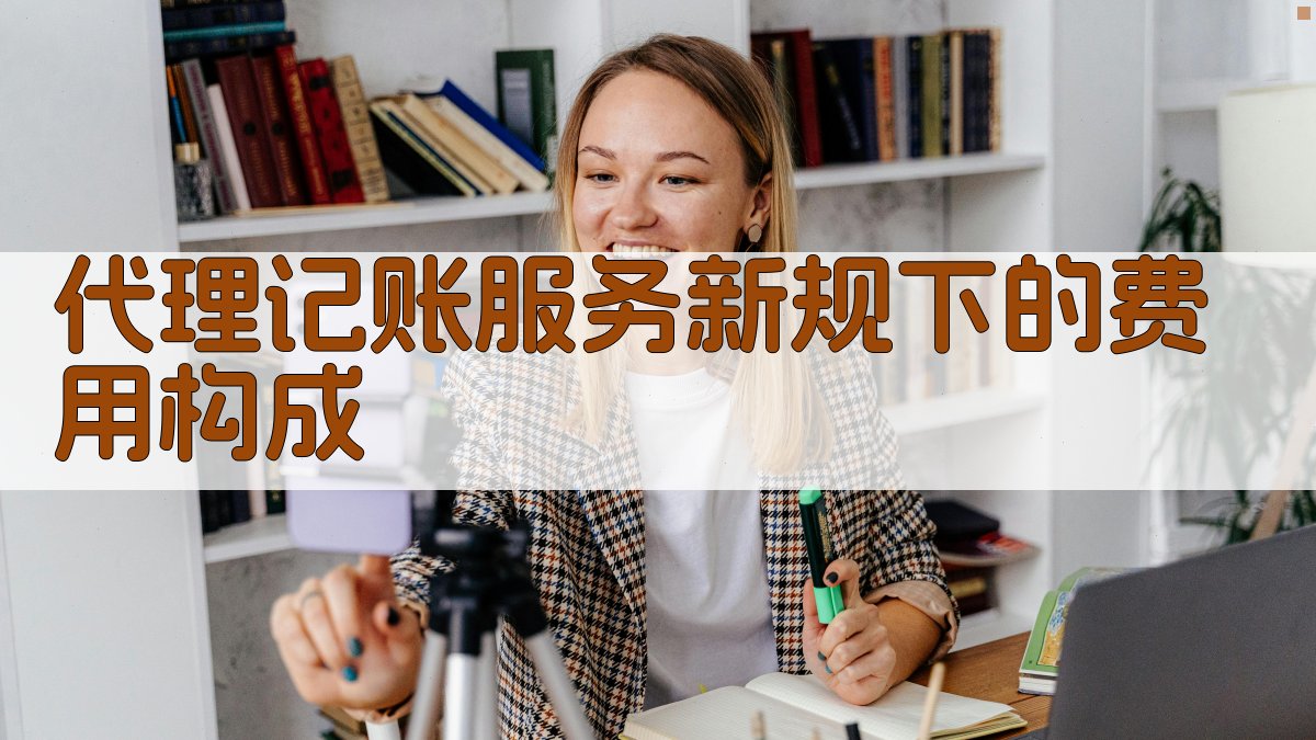 代理记账服务新规下的费用构成 图1