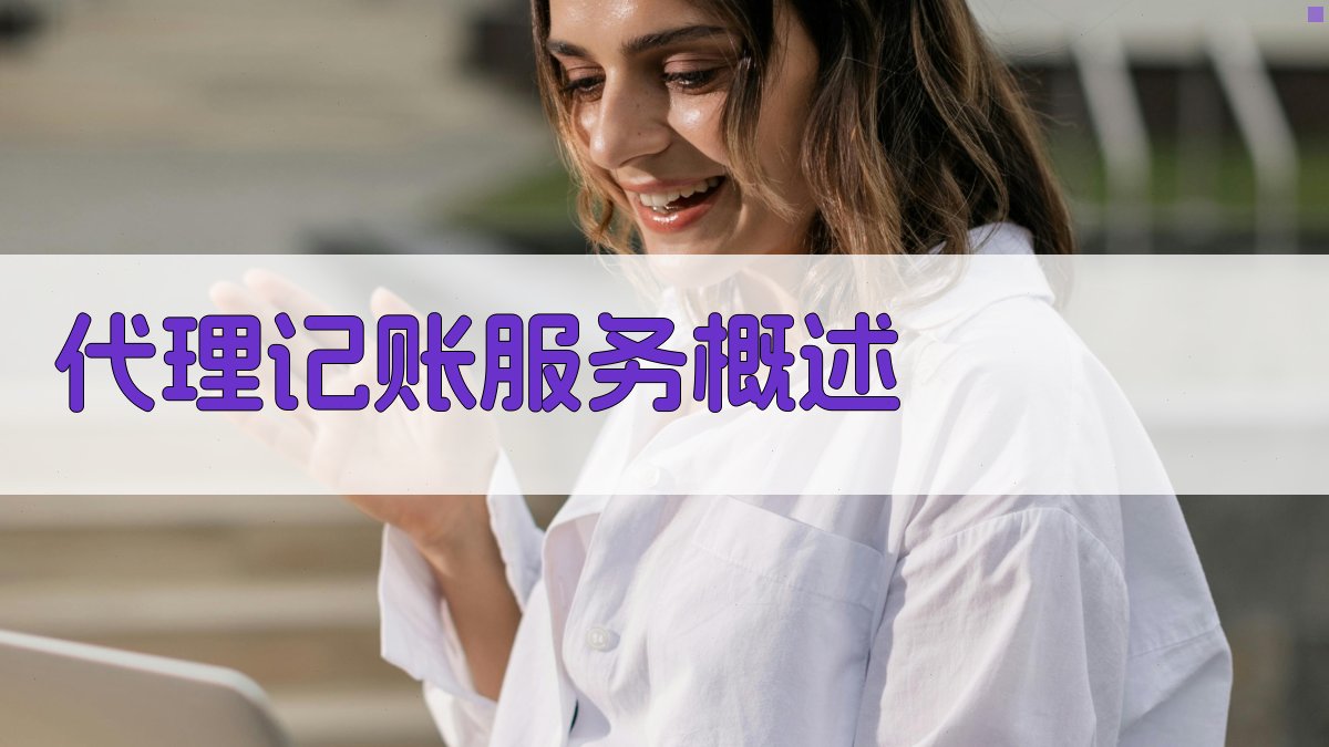 代理记账服务概述 图1