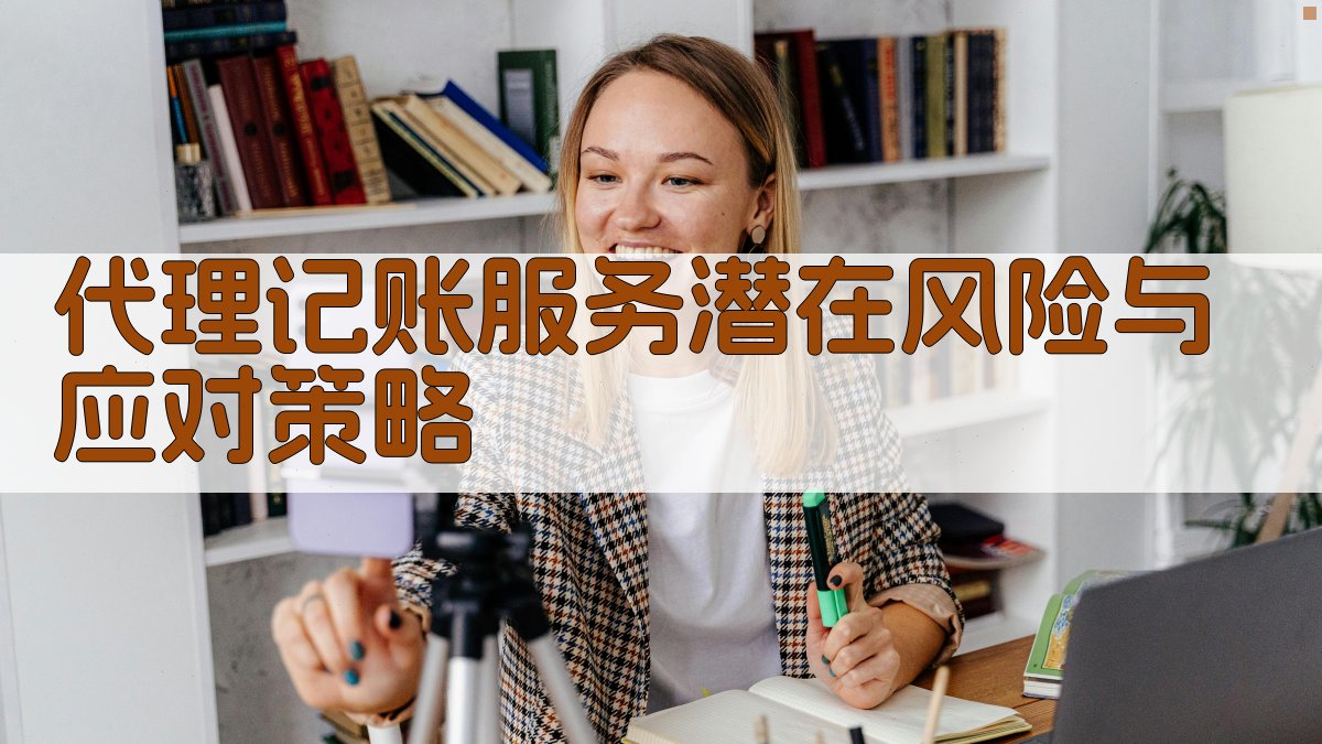 代理记账服务潜在风险与应对策略 图2