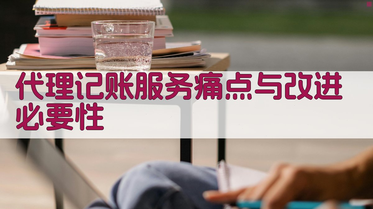 代理记账服务痛点与改进必要性 图1