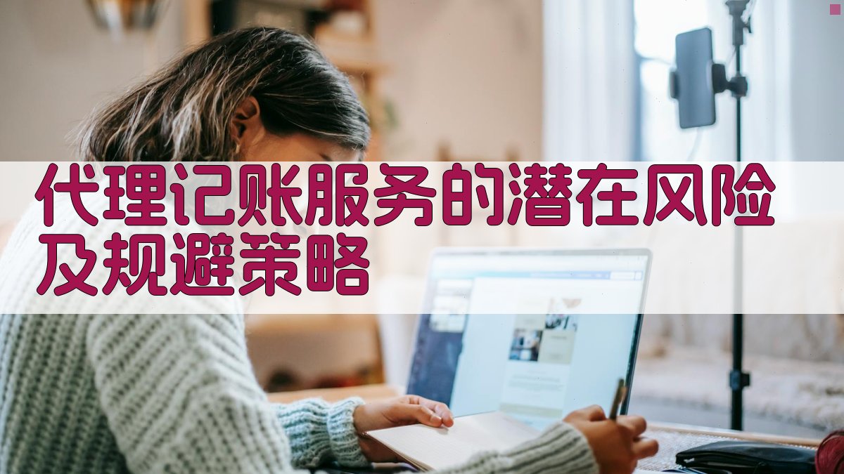 代理记账服务的潜在风险及规避策略 图2