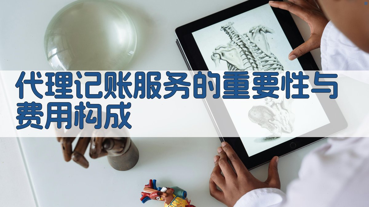 代理记账服务的重要性与费用构成 图1