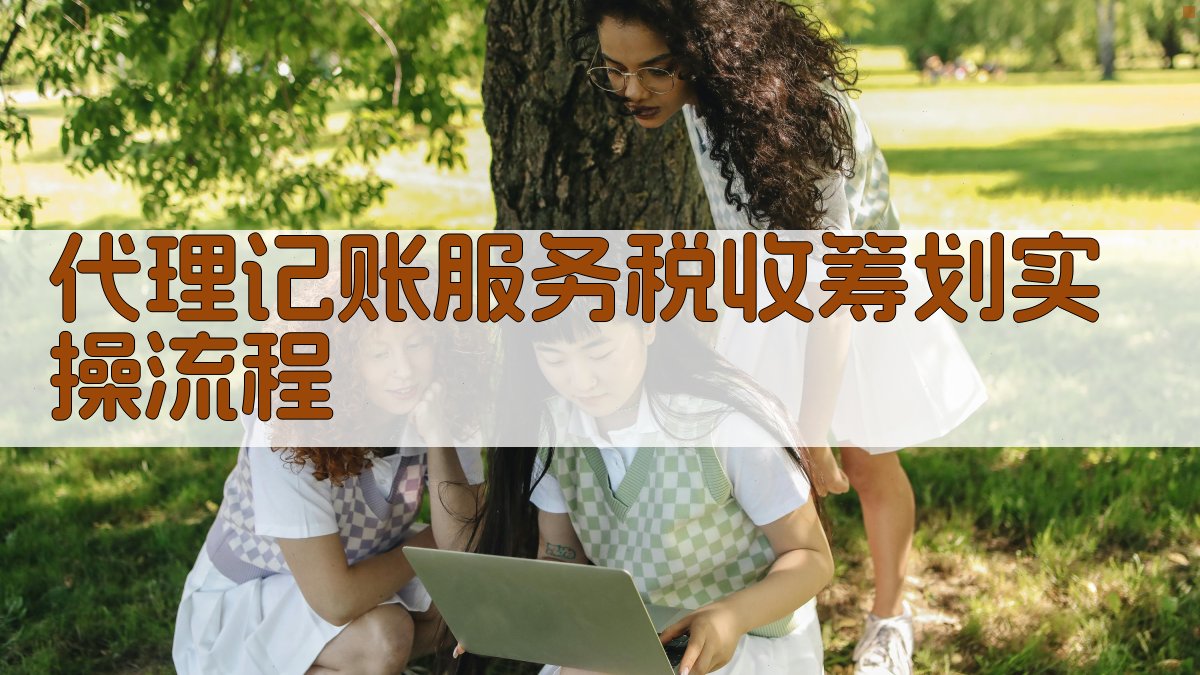 代理记账服务税收筹划实操流程 图2