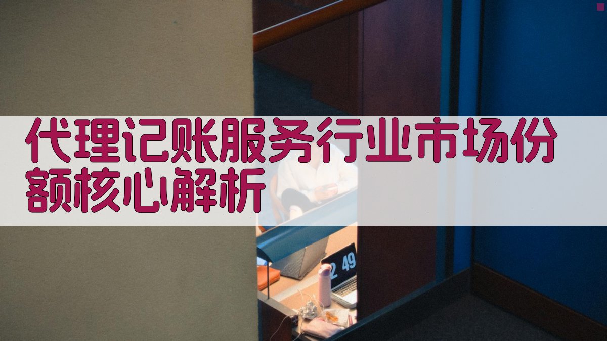代理记账服务行业市场份额核心解析 图2