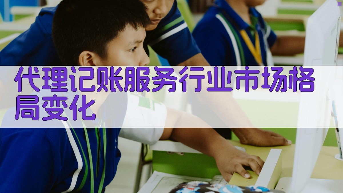 代理记账服务行业市场格局变化 图1