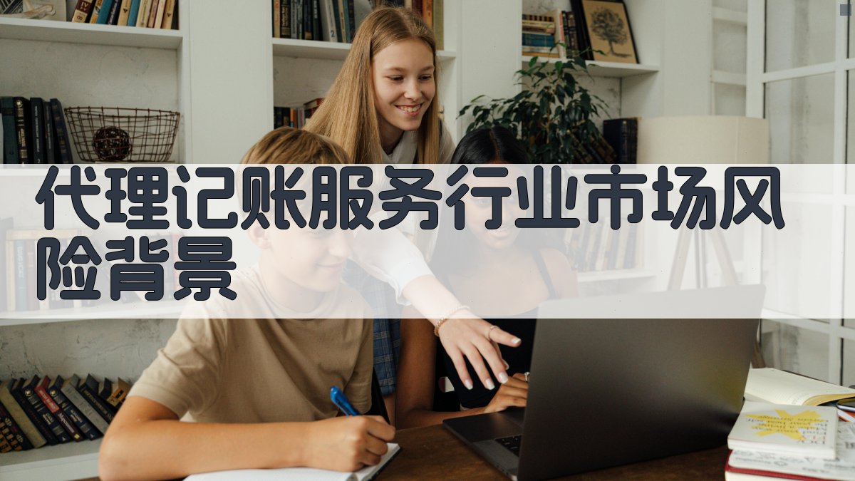 代理记账服务行业市场风险背景 图1