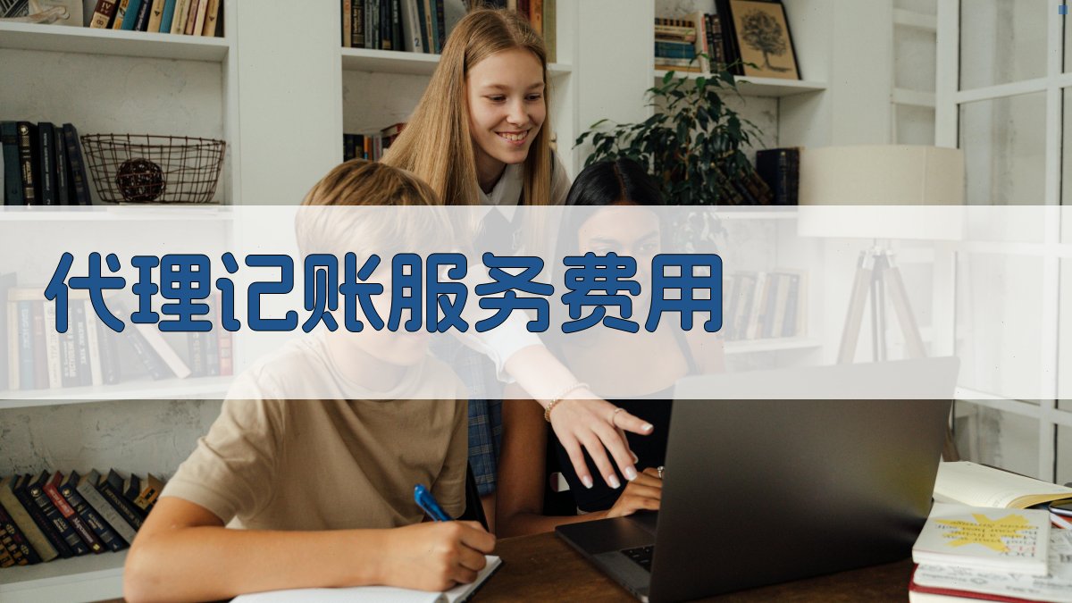 代理记账服务费用 图2