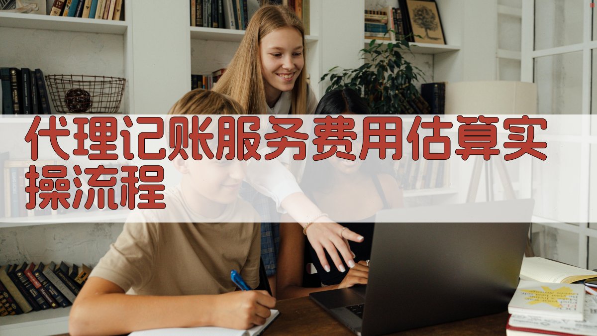 代理记账服务费用估算实操流程 图2