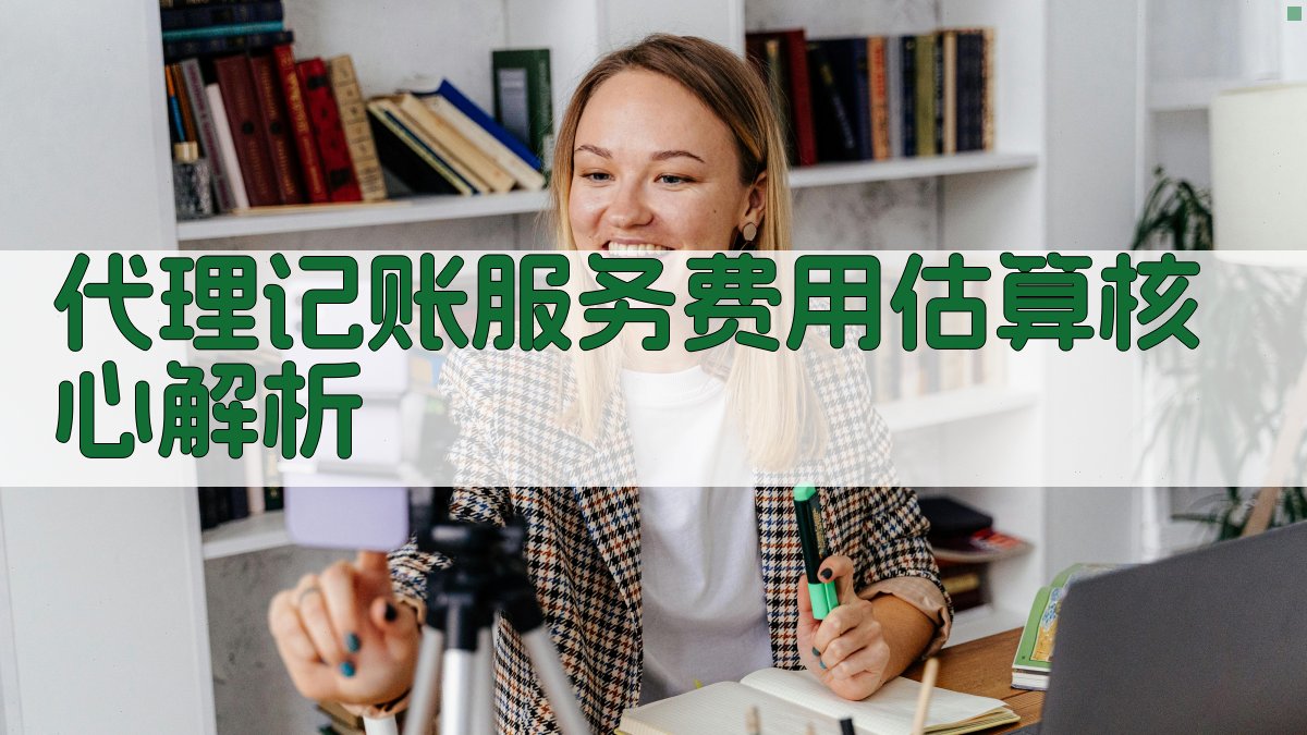代理记账服务费用估算核心解析 图1