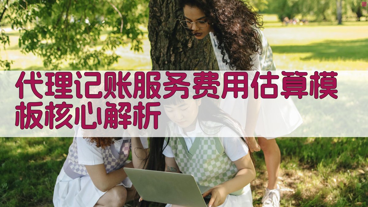 代理记账服务费用估算模板核心解析 图1