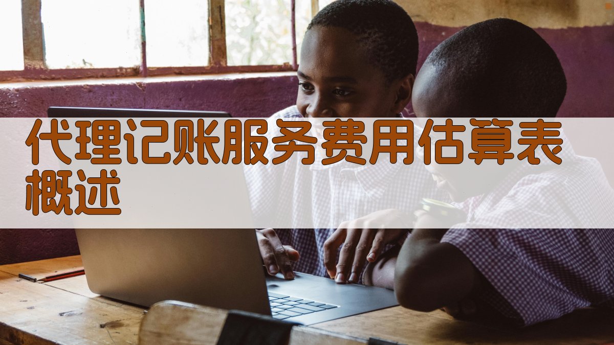 代理记账服务费用估算表概述 图1