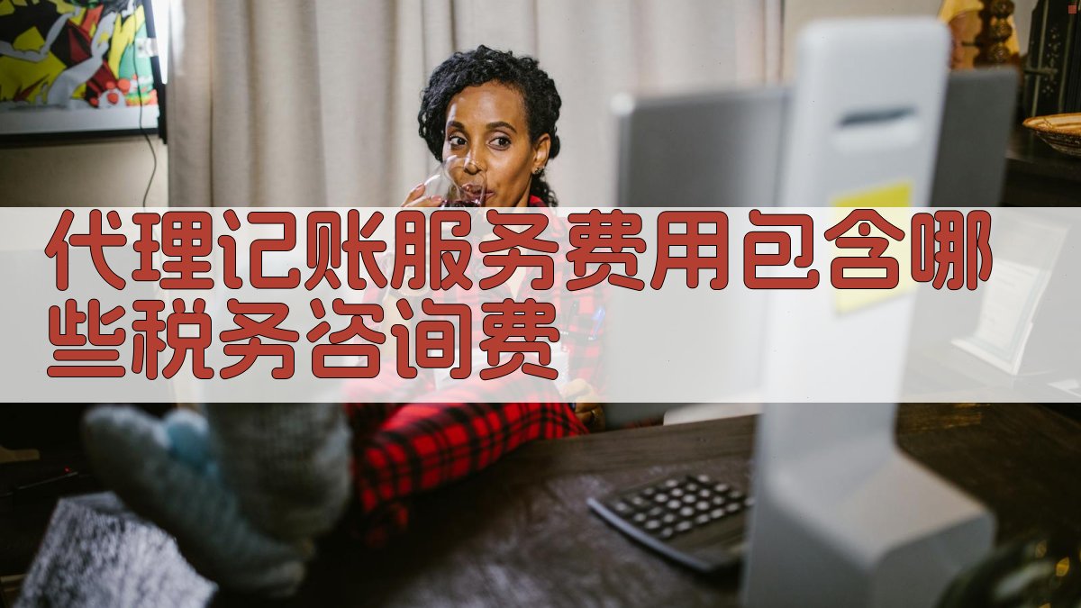 代理记账服务费用包含哪些税务咨询费 图1
