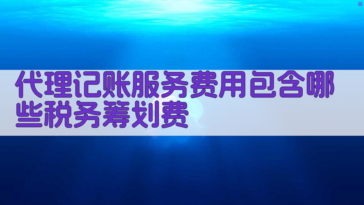 代理记账服务费用包含哪些税务筹划费 图2