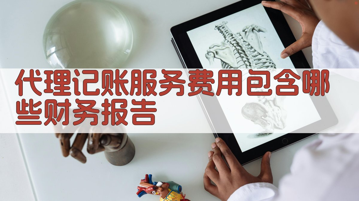 代理记账服务费用包含哪些财务报告 图1
