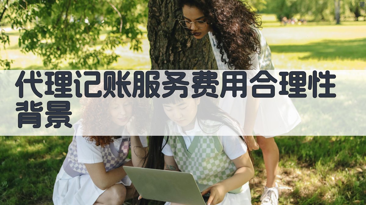代理记账服务费用合理性背景 图1